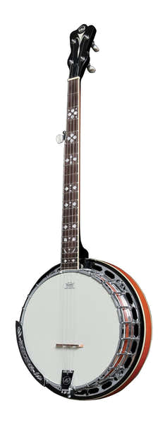 VGS Premium-Banjos 5-Saitig Mit Koffer