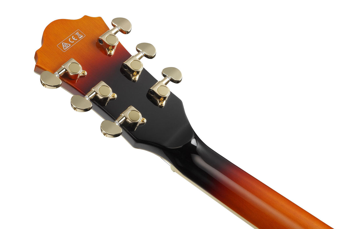 AG75G-BS Braun Sunburst Ag Artcore