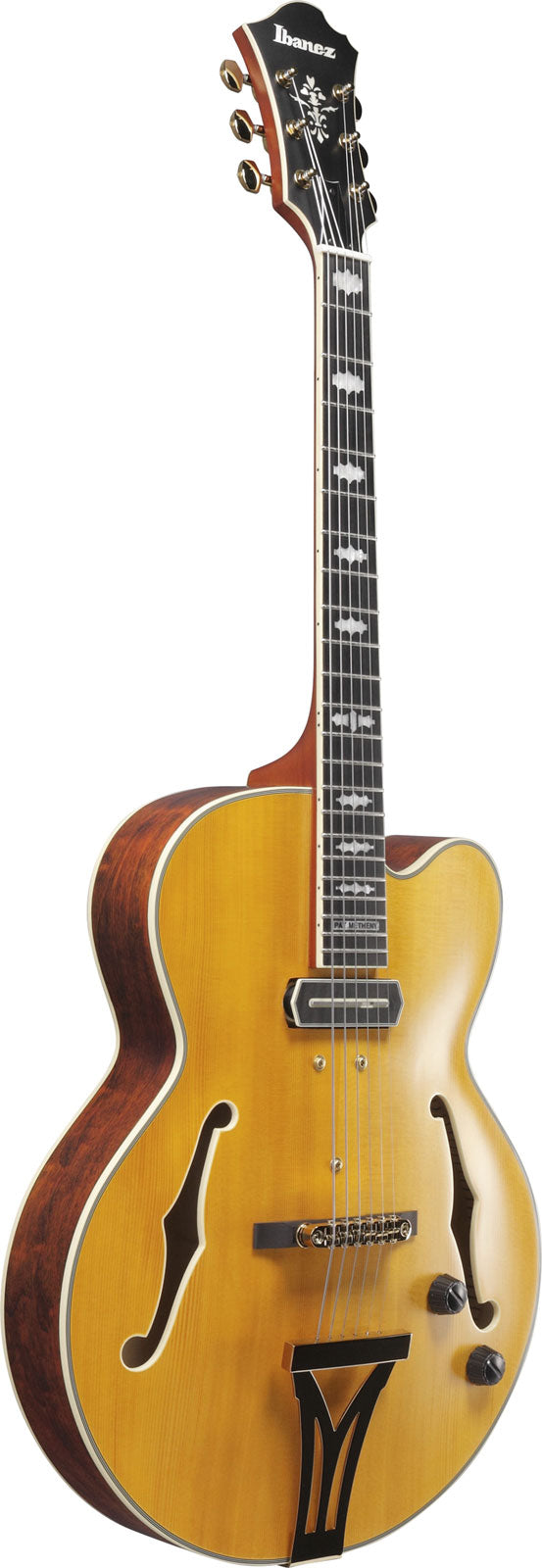 PM3C Signature Pat Metheny Natur Bernstein Niedriger Glanz