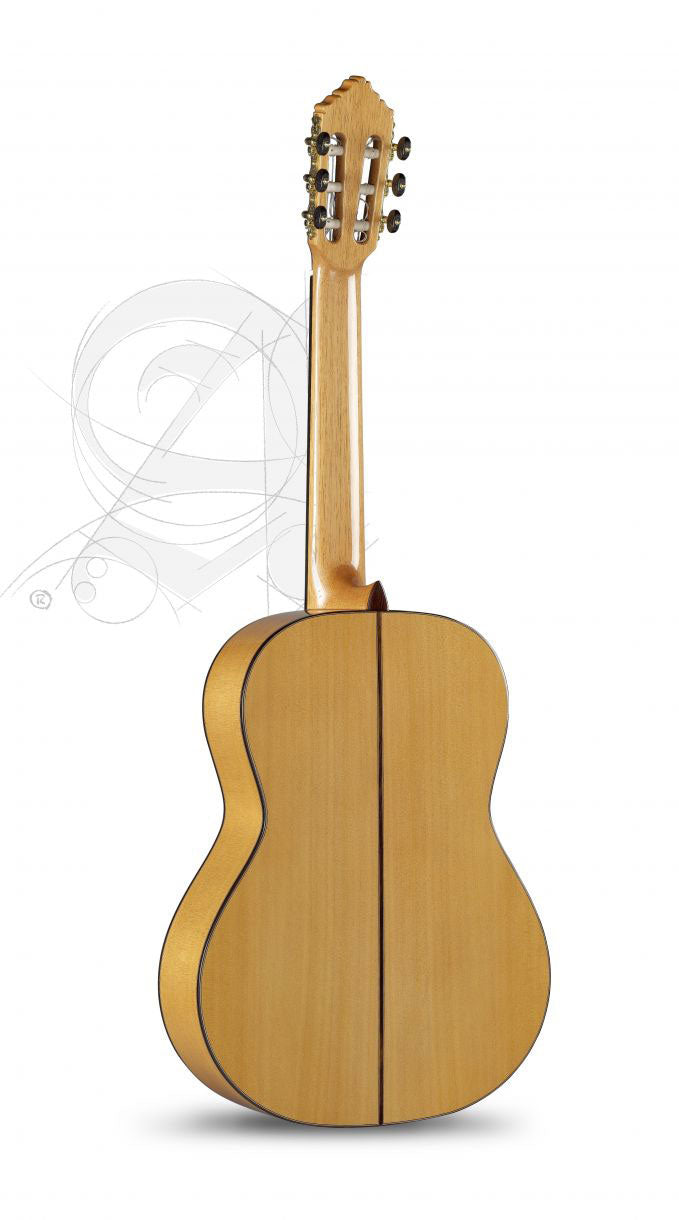 Concert 10Fc Flamenco + 9557 Case