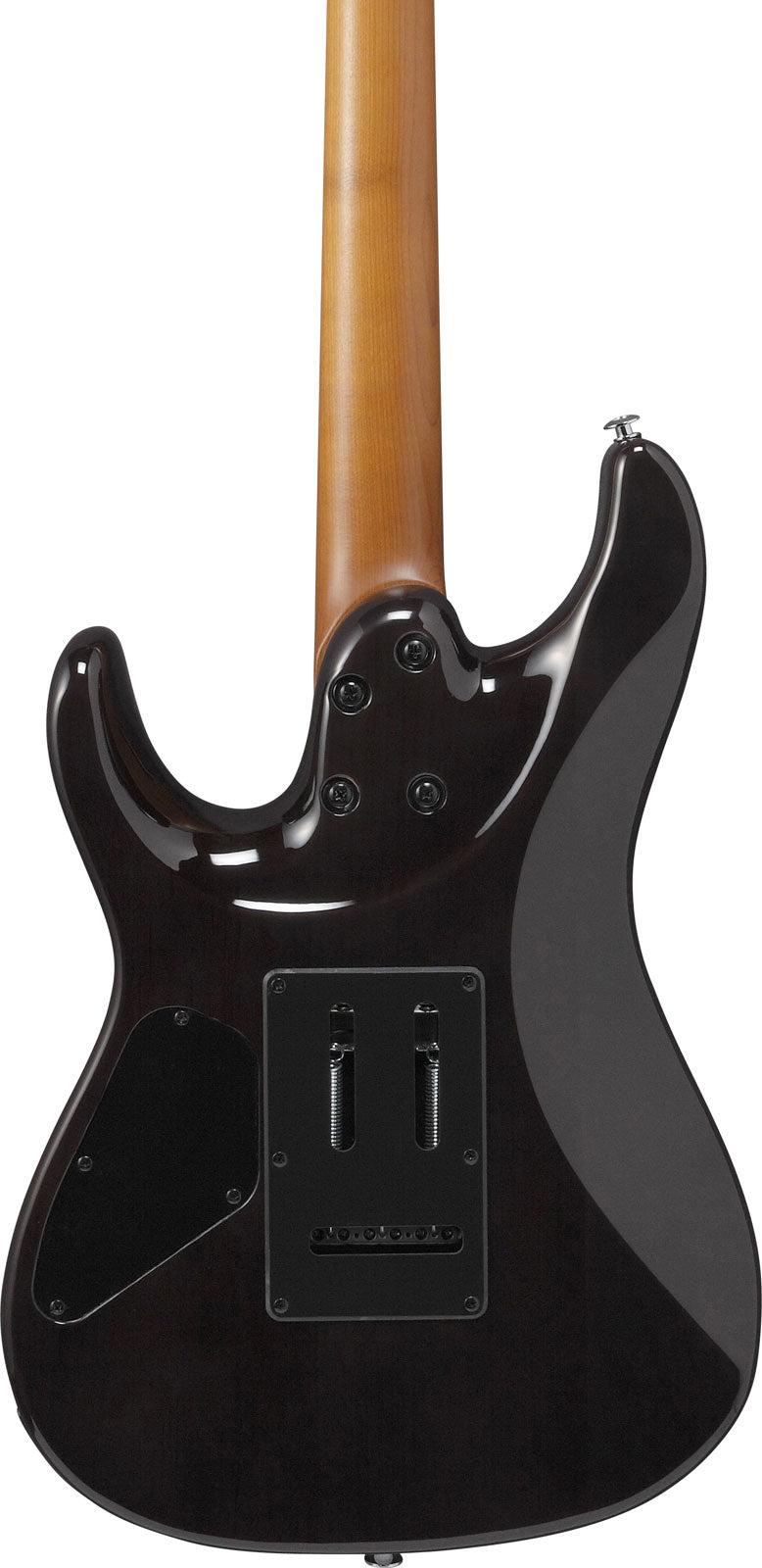 AZ24S1F-TKS Standard Transparent Black Sunburst
