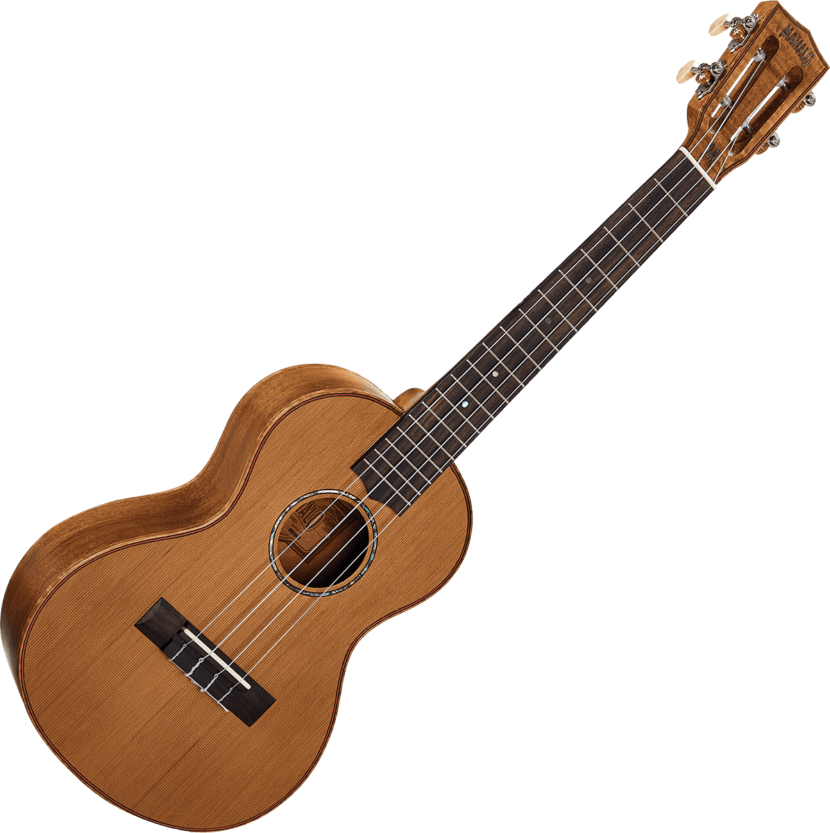 Naturbelassener Elektro-Tenor + Tasche