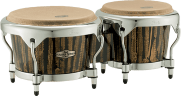 Bongos Havana 7+9 Flüssiges Gold
