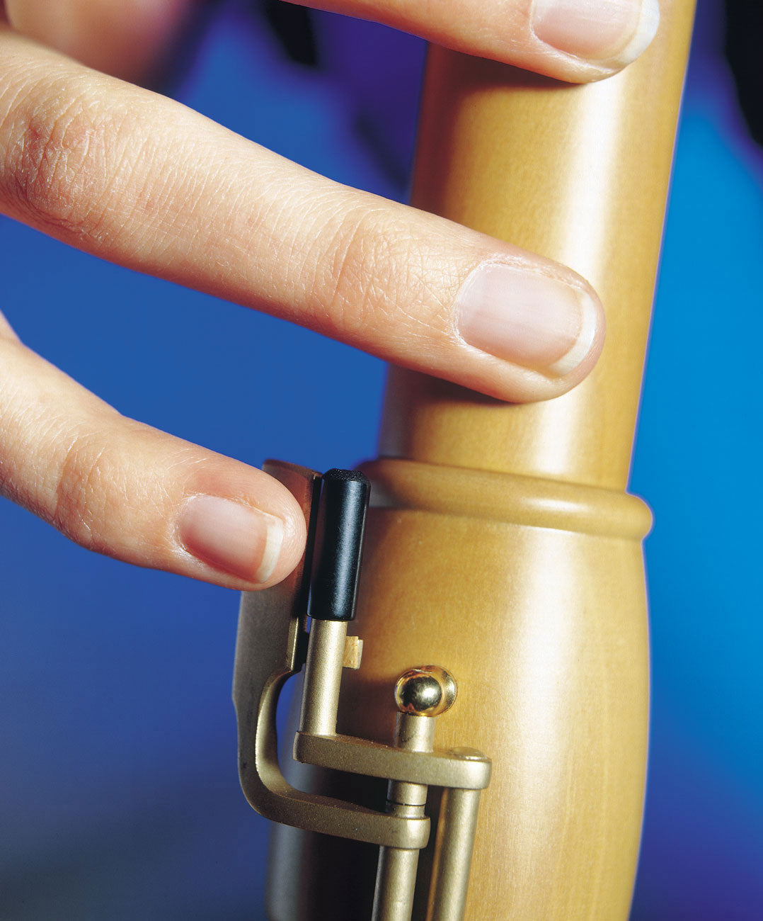 Canta Gebogener Bass 2546K - Birnbaum (Barockgriff)