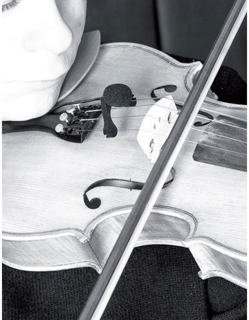 VL21C Lanen Violine - Bratsche