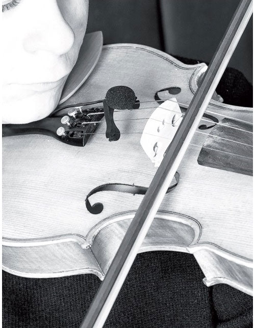 VL21C Lanen Violine - Bratsche