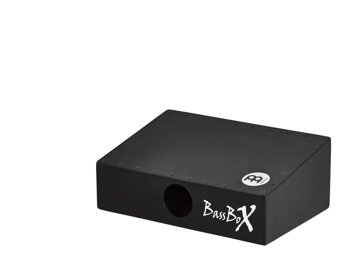Pbassbox - Pickup-Bassbox - Baltische Birke