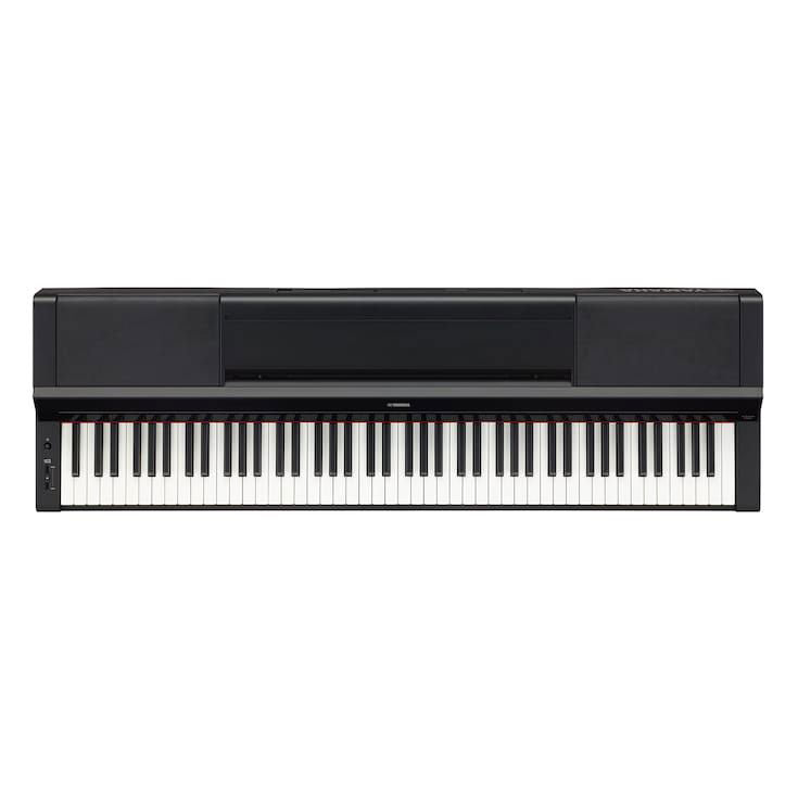 P-S500 schwarz