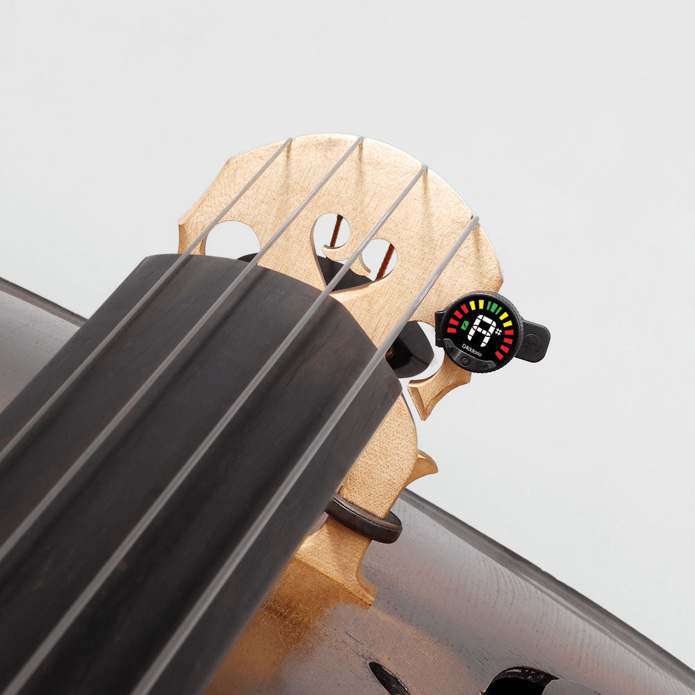 Nexxus 360 - Cello And Bass