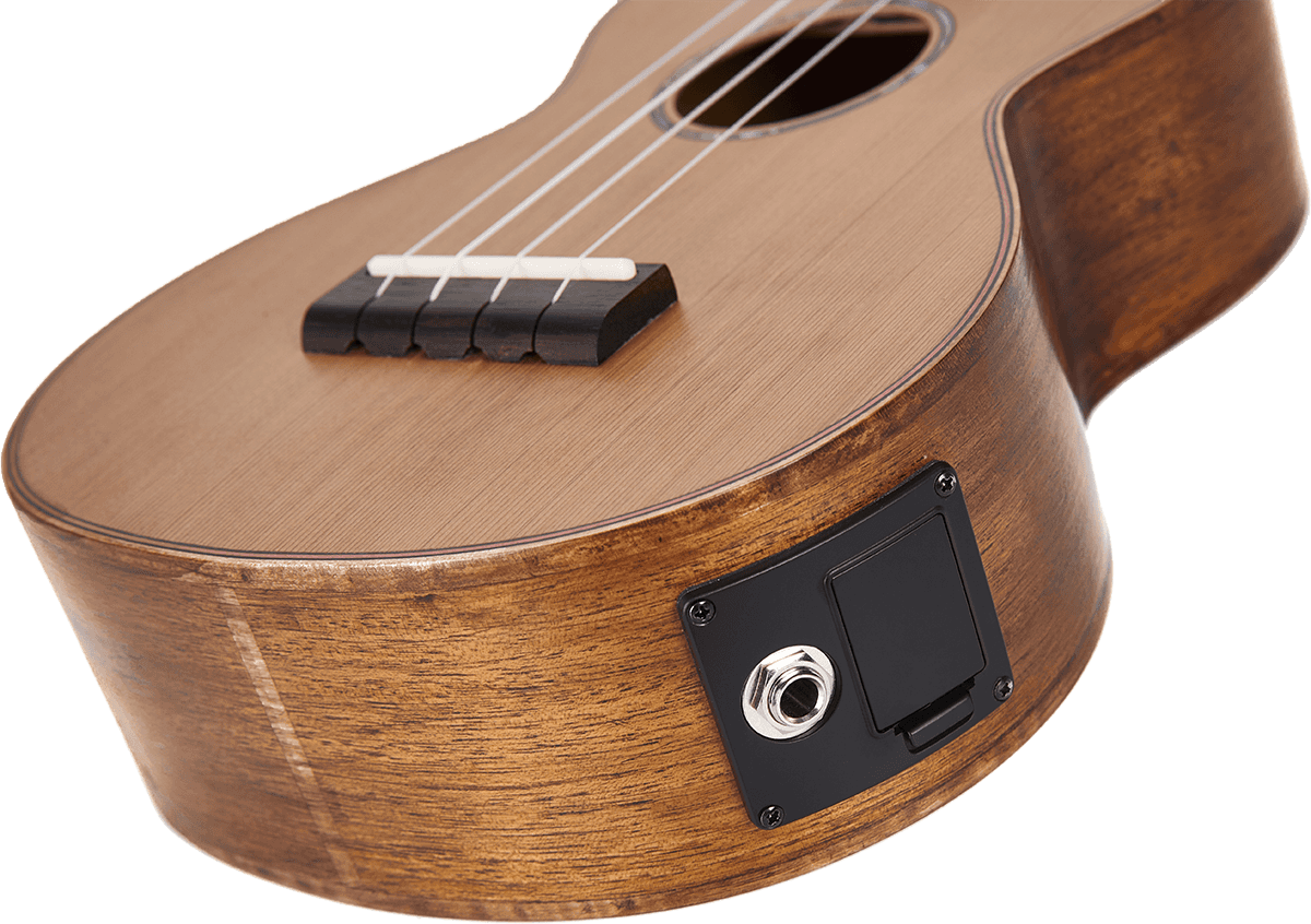 Naturbelassener Elektro-Bariton + Tasche