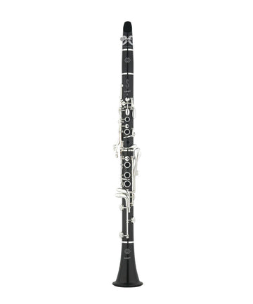 Prologue II B (17 Klappen)