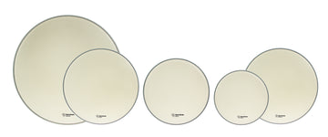 10-12-14 + Snare 14 + Bassdrum 20 Everest Beschichtetes Fusion-Paket