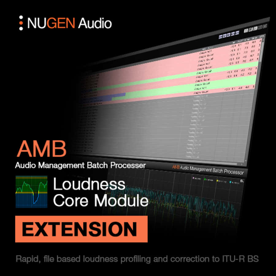 AMB Loudness Module