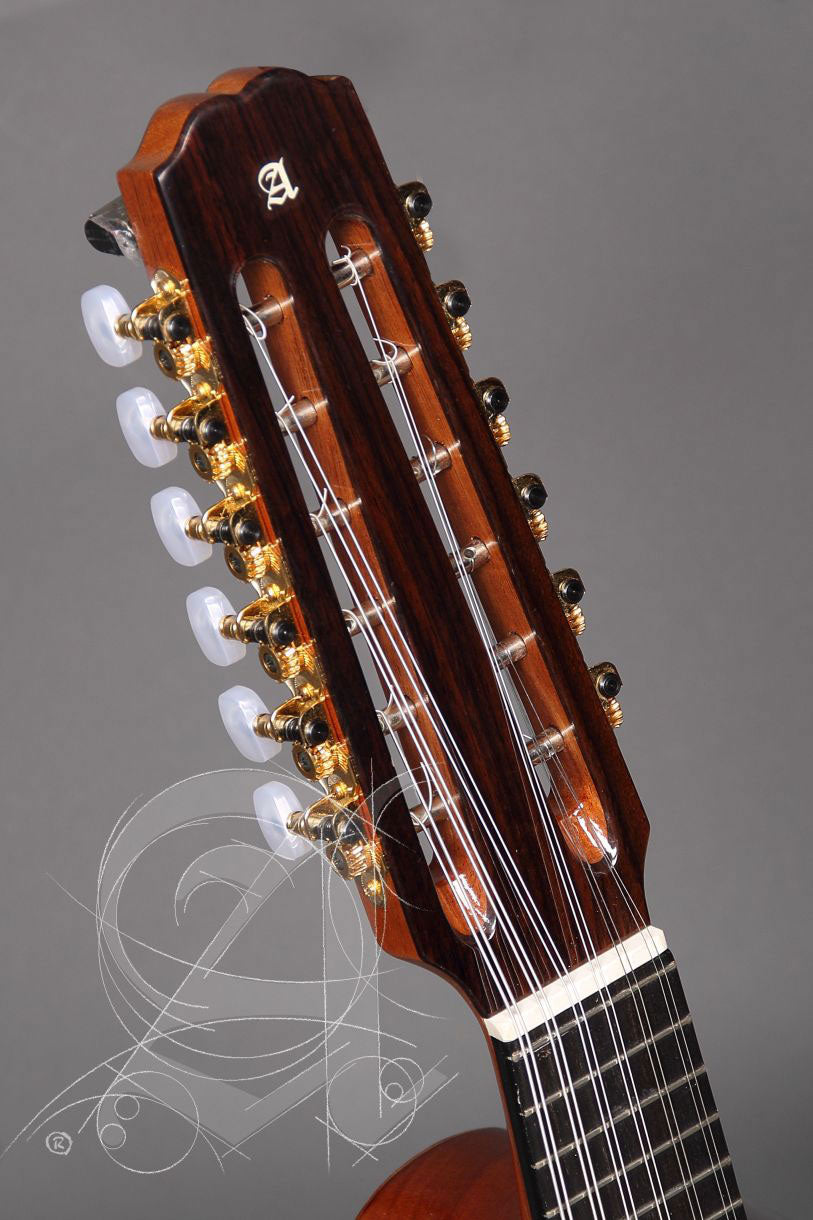 Conservatory 4P Bandurria + 9531 Gigbag