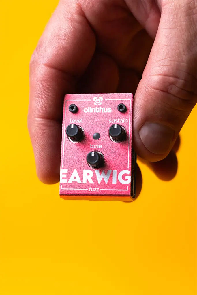 Earwig - Fuzz