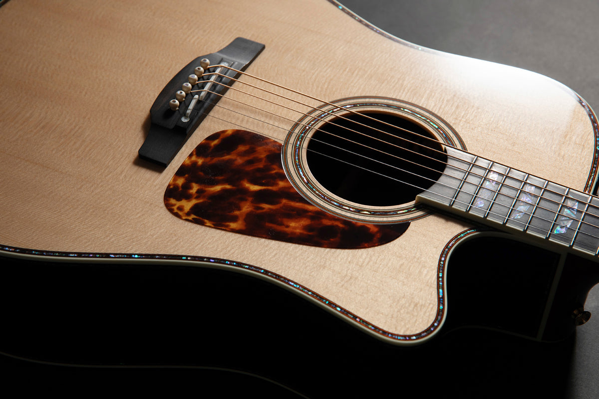 Dreadnought Cutaway Elektro P10DC