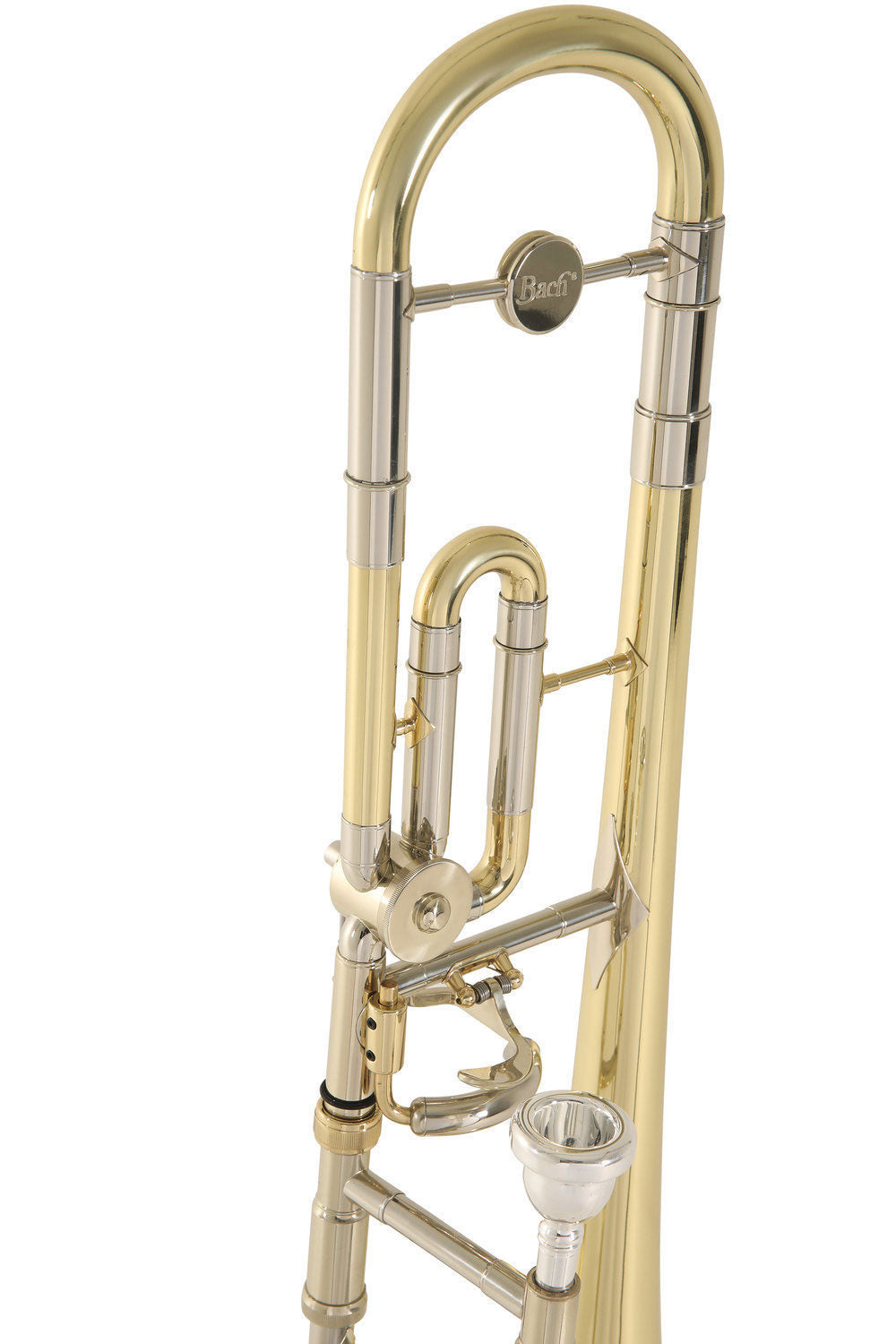 Ambition TB65 Tenor B/C Lackiert (Kinder)