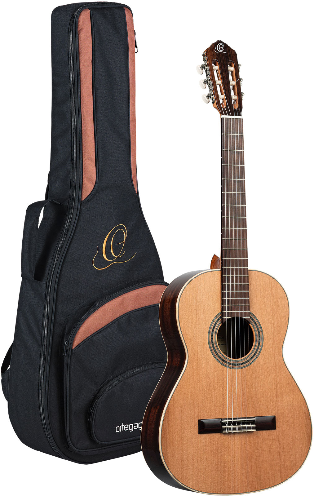 Traditional 4/4 + Pro-Gigbag