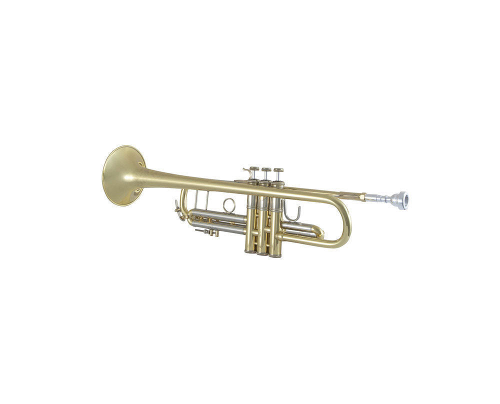 190S43 - Bb STRADIVARIUS LACKIERT