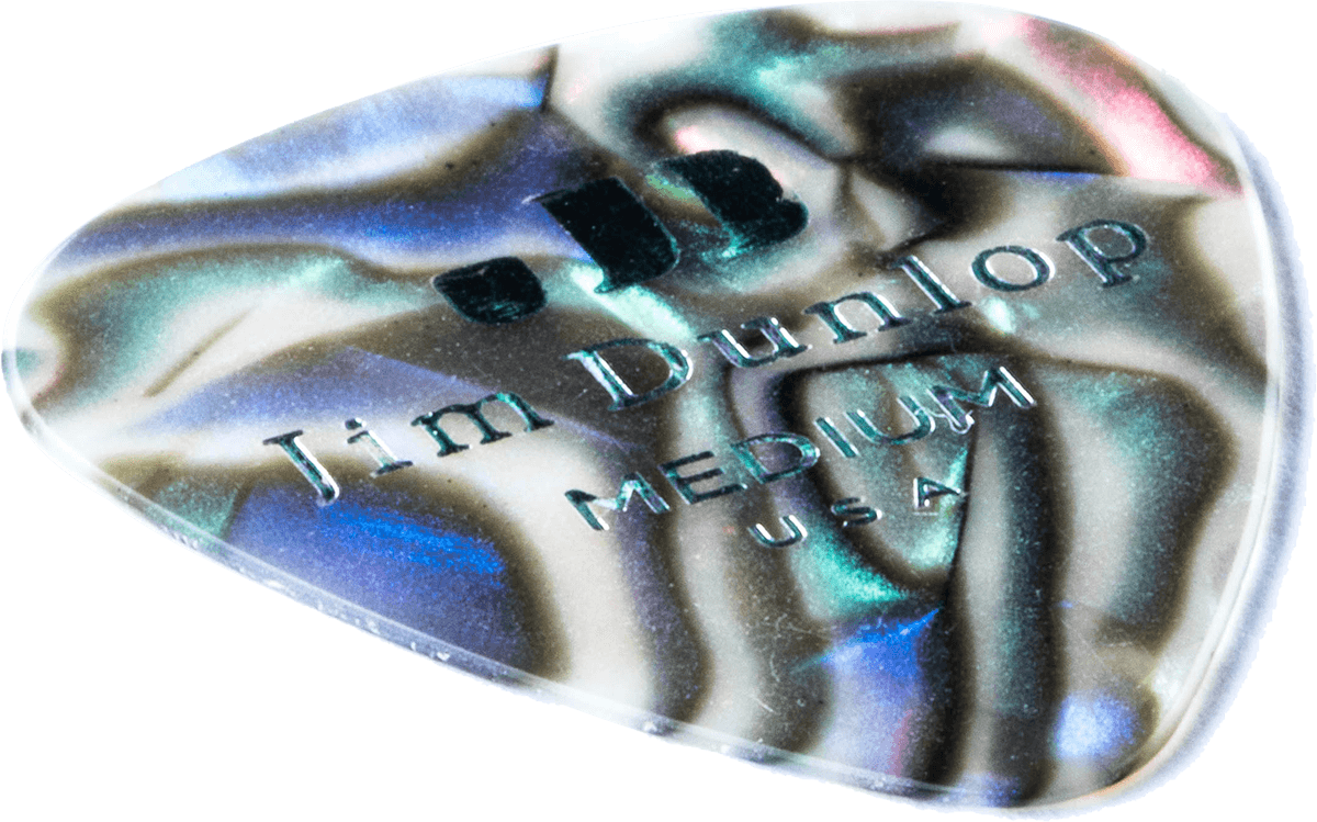 12 x Mittleres Zelluloid Abalone