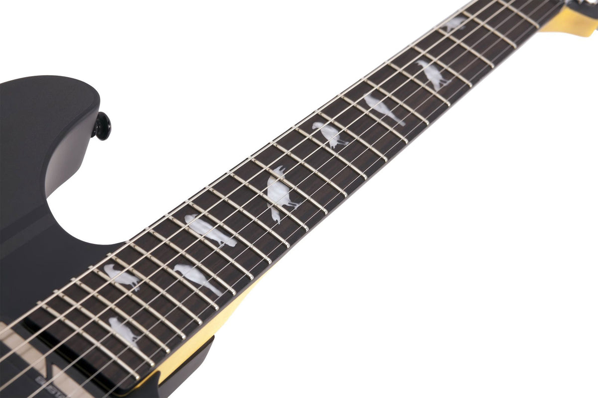 Dj Ashba Signature Satin Carbon Grey