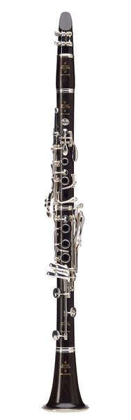 Festival B Green Line (18 Tasten) - BC1139GL-2-0