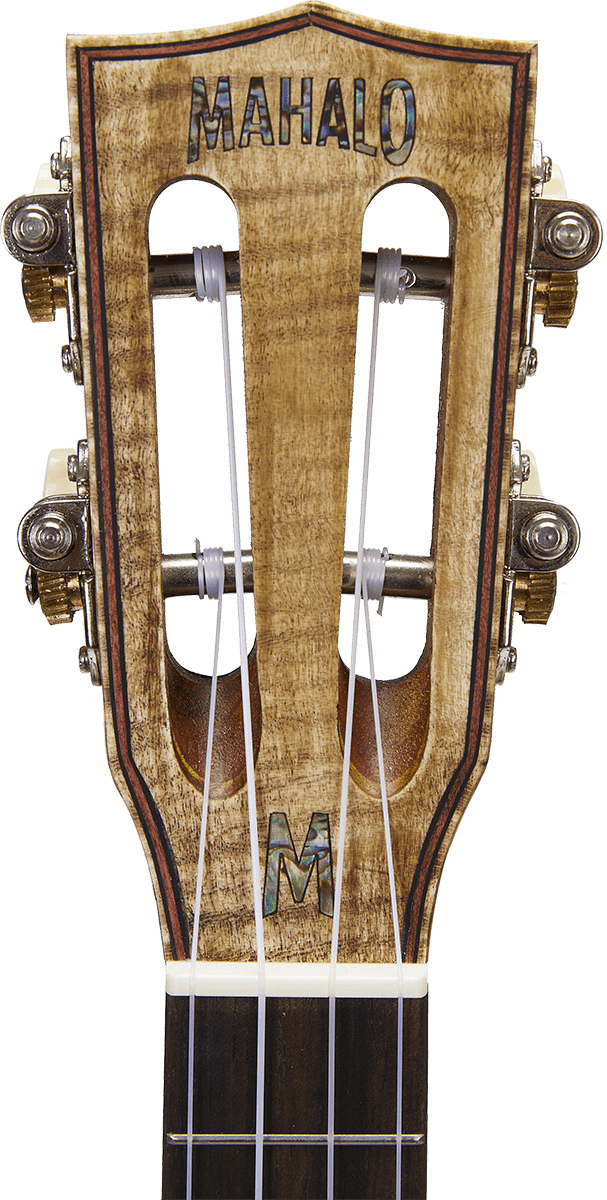 Concert Natur Elektro + Tasche