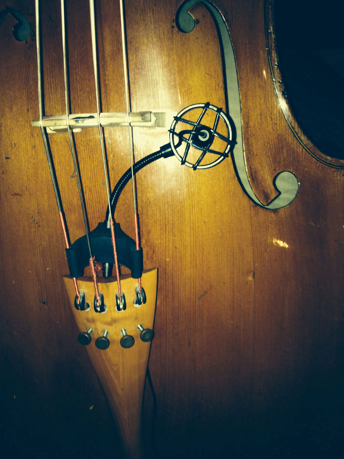 CL21 Lanen Violoncello