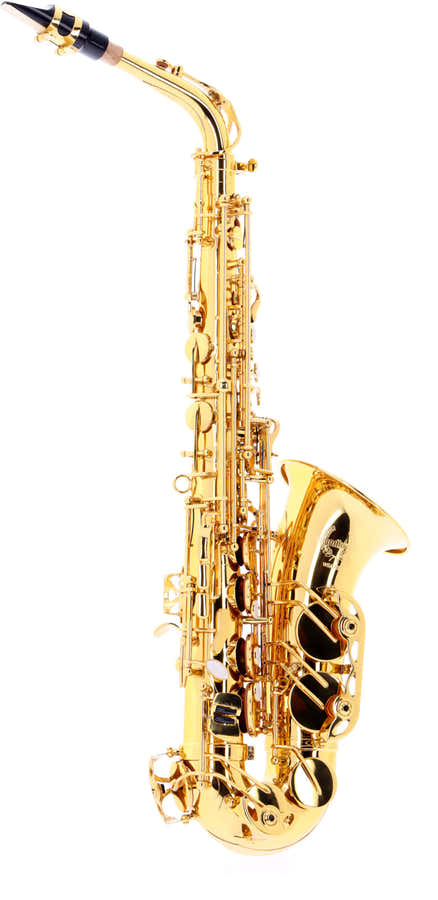 WSA300 - Alt E B Lackiert