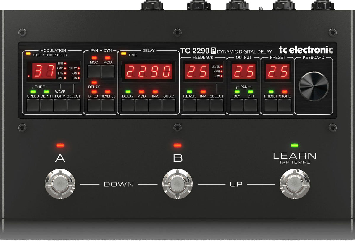 2290 P DYNAMIC DIGITAL DELAY