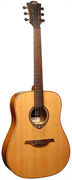 Tramontane T170D Dreadnought