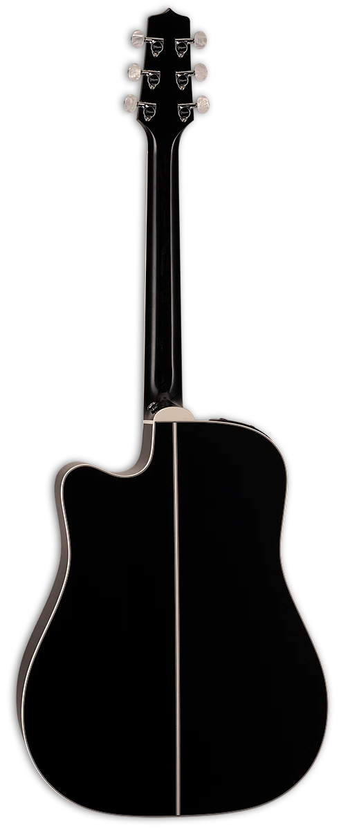 EF341DX Dreadnought CW Schwarz