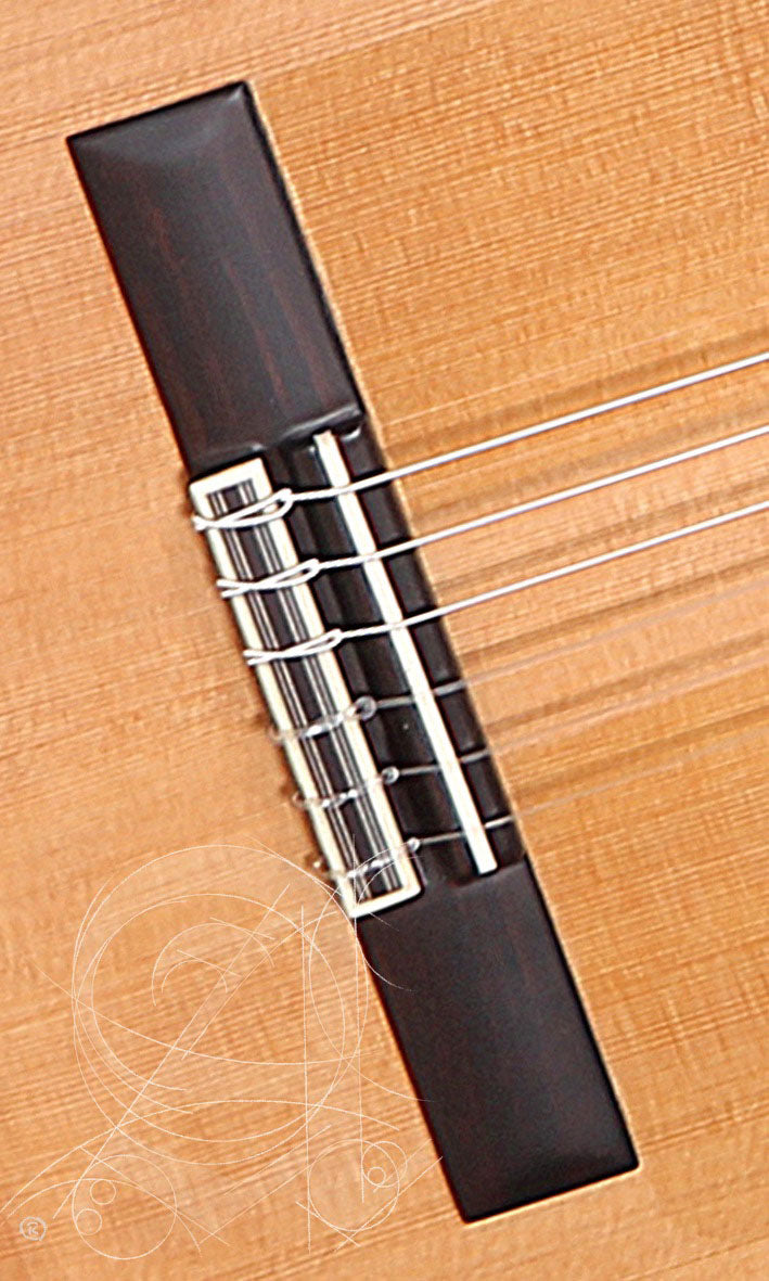 Conservatoire 5FP Op Piñana Flamenco + 9738 25mm Tasche