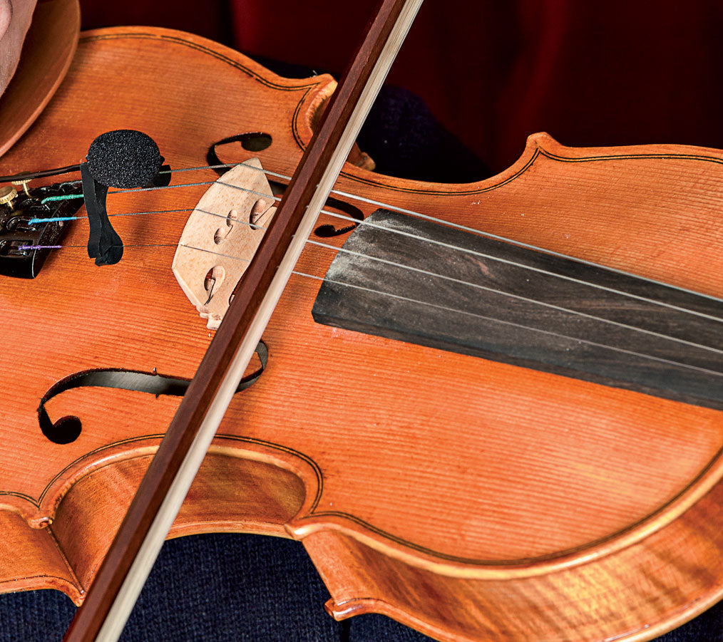 VL21C Lanen Violine - Bratsche