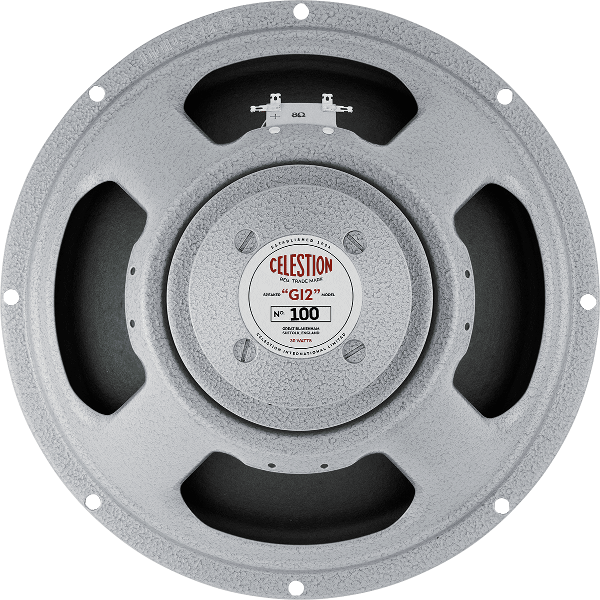 G12 100 8 Ohms