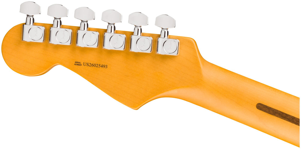 Stratocaster American Professional HSS, RW Dark Night