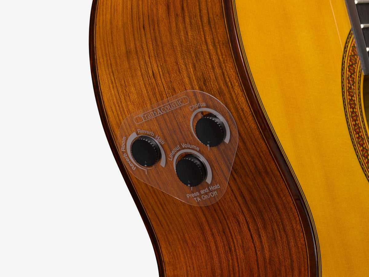 cg-ta transacoustic natur