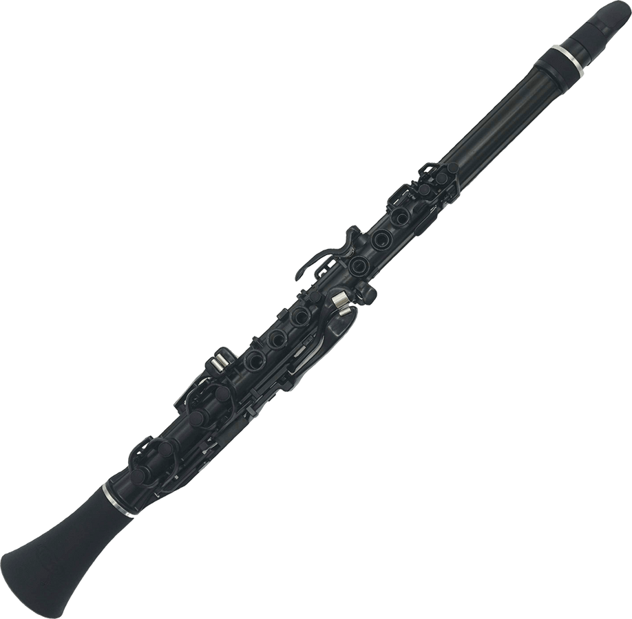CLARINEO SCHWARZ