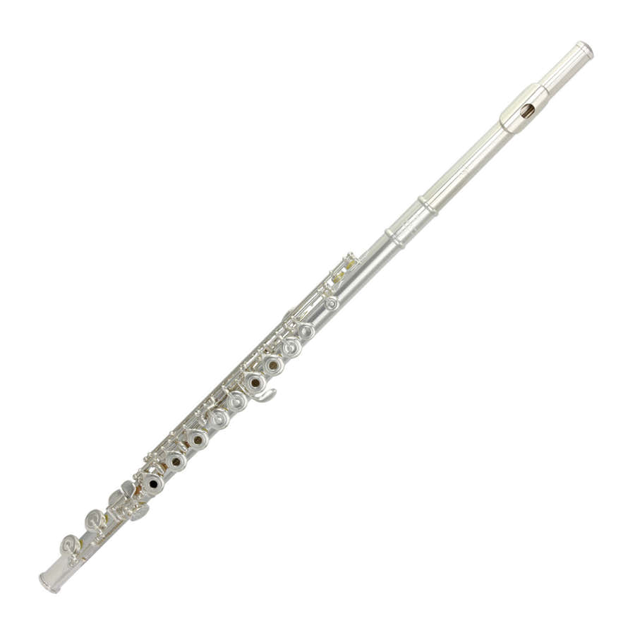 Cantabile - Silbernes Kopfstück 31CV-RX