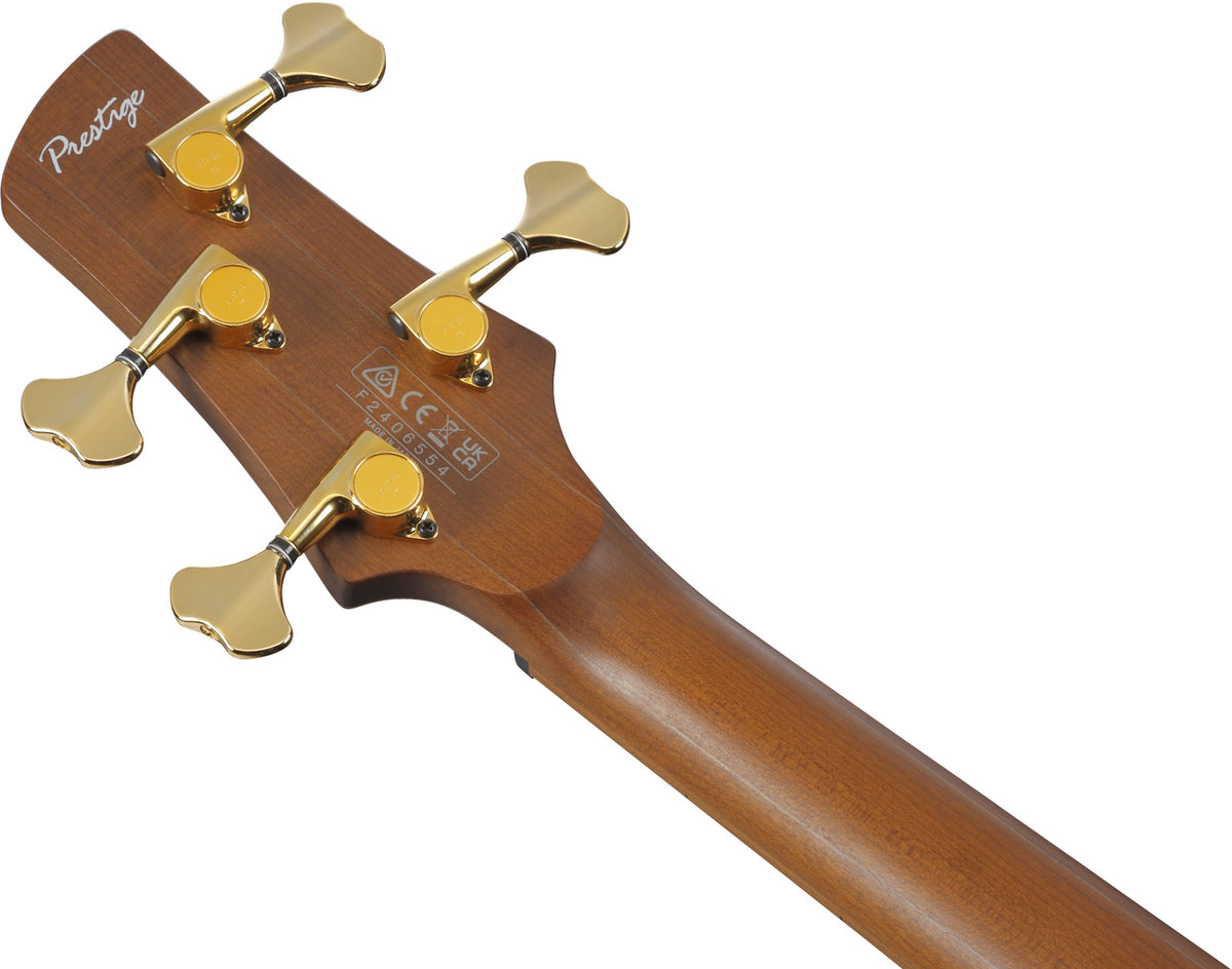 SR4500-DST Wüsten-Sonnenuntergang Burst Prestige