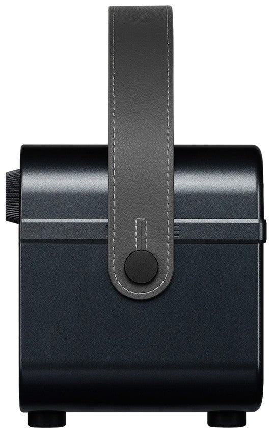 Hotone AP-20BK Pulze Jr. Black