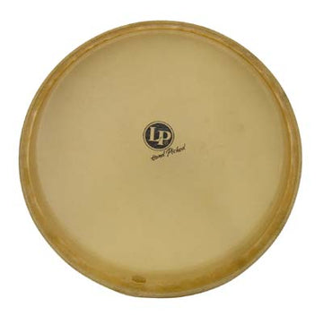 LPA640B - CONGA HEAD ASPIRE CONGA 11"