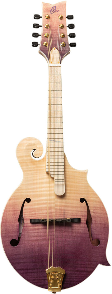 Americana F-Style Mandoline + Croco-Lederkoffer