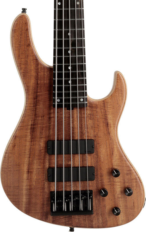 Modern Bass Metroline 5 LTD 2025
