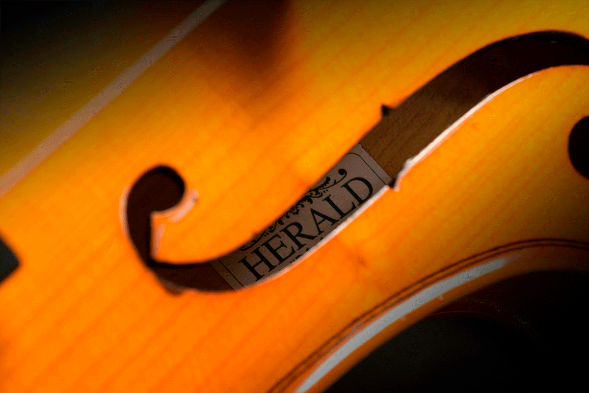 Massive Violine 4/4 (Ebenholzgriffbrett)