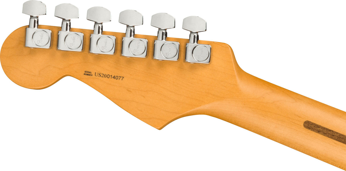 Stratocaster American Professional II Rw Roasted Pine