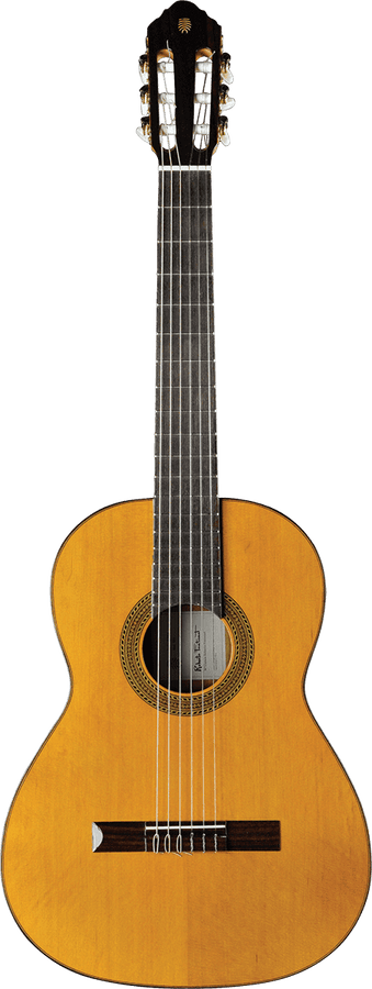 Vibra 300 4/4 Natural