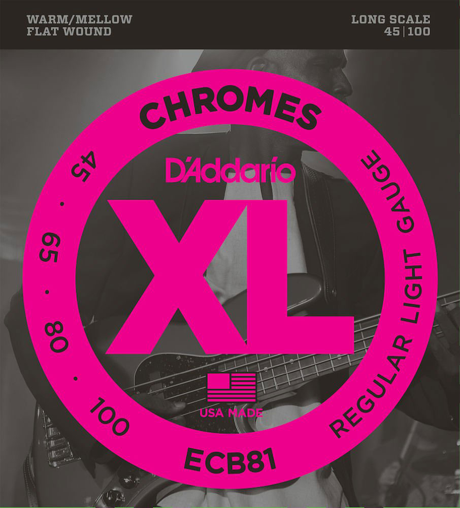 D'ADDARIO ECB81 Chromes Flachdraht Langmensur Regular Light 45-100