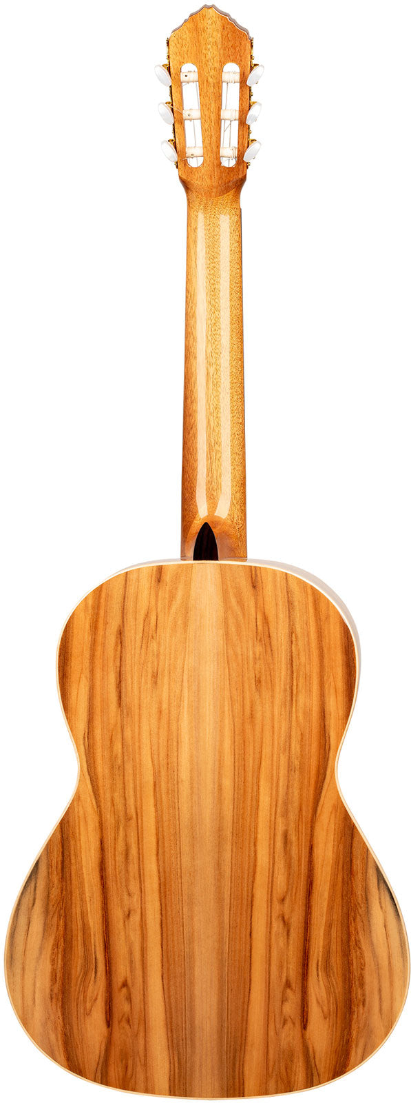 Traditional 4/4 + Pro-Gigbag