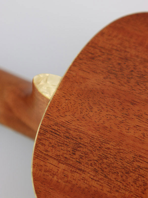 B-Stock / Brooklyn Green Archtop, Tenor, mit Koffer geliefert
